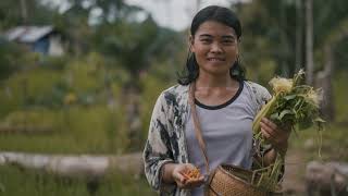 Integrating trees in farms agroforestry  Mengintegrasikan pohon di perkebunan agroforestri [upl. by Jecoa]