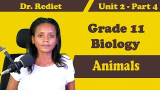 Grade 11 Biology Unit 2 Animals Part 4  Dr Rediet [upl. by Annaor]