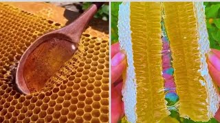 Honeycomb Cutting and Honey Flowing🍯🍯  Extremely Satisfying To Watch [upl. by Eceinaj]