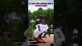 ✰《 A real rider vs a real rider》✰ horse equestrian horseriding stophorseabuse [upl. by Assirrac763]