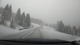 SnowDrive Germany RiedbergpassStraße BalderschwangObermaiselstein Oberallgäu 4K Schneetreiben [upl. by Dredi]