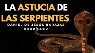 LA ASTUCIA DE LA SERPIENTE  ENSEÑANZAS DE LOS ANIMALES [upl. by Abas]