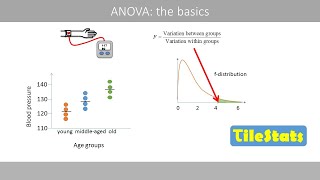 Oneway ANOVA the basics [upl. by Alaaj]