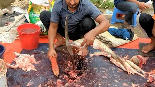 Amazing Giant Small Wallago Attu Catfish Cutting Skills By Expert  Fish Cutting Skills [upl. by Fontana685]