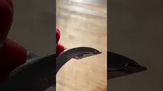 First time trying a Carbide Scraper diy scraper [upl. by Nanon562]