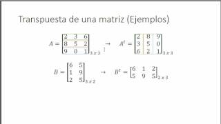 Conceptos de Algebra Lineal para entender la econometría Parte 1 [upl. by Annaerb]