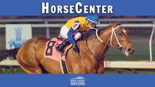 Lecomte and Louisiana top picks on HorseCenter [upl. by Nancey]