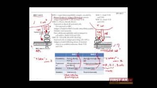 First Aid for the USMLE Step 1 IMMUNOLOGY  02  Major histocompatibility complex MHC molecules [upl. by Mariele532]