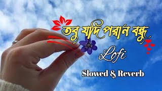 তবু যদি পরান বন্ধু আমার পানে চায়  Dhar Dharina Para Porshi Slowed amp Reverb  Viral Song [upl. by Netsrek950]