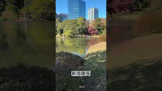 新宿御苑 上の池 shinjukugyoen [upl. by Ahsilif]