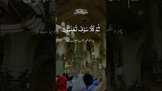 Surah Al Takathur with Urdu translation  para 30 arabic urdu shorts quran [upl. by Sabine968]