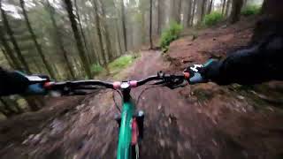 Haldon Forest another wet ride [upl. by Pooley]