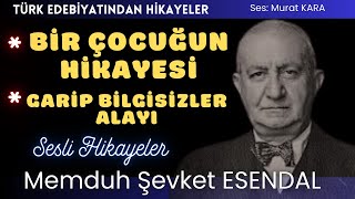 quotBir Çocuğun Hikayesiquot quotGarip Bilgisizler Alayıquot Memduh Şevket Esendal Hikayeleri [upl. by Mcconnell]