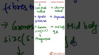 Plant Cytokinesis and Animal Cytokinesis [upl. by Alleirbag]