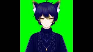 Live Stream Kuro Neko [upl. by Anahsed]