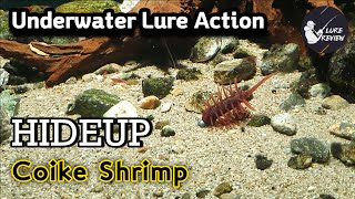 BassFishing HIDEUP 1 Coike Shrimp  Underwater Lure Action [upl. by Luamaj304]