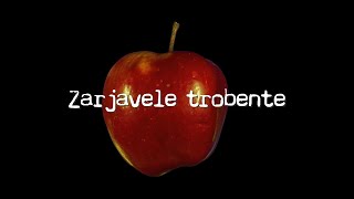 Crvena jabuka  Zarjavele trobente Official lyric video [upl. by Atinob]