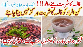 Falsa Fruit Benefits  Falsa Juice RecipeFacts about Grewia fruit SZ official [upl. by Nanji762]