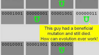 How Evolution REALLY Works Part I [upl. by Mose]