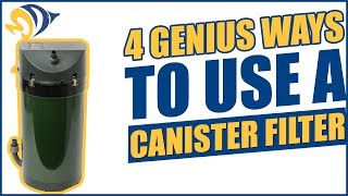 4 Genius Ways to Use a Canister Filter with Your Reef Aquarium [upl. by Ailil]