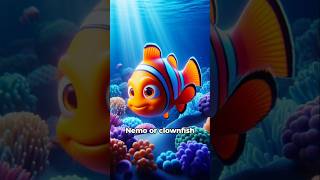 Unique Facts about Nemo Fish [upl. by Oilut]