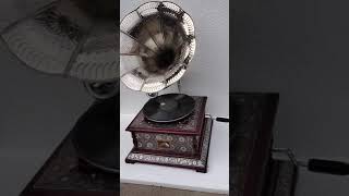 HMV Gramophone Record Player Replica Phonograph manufacturer And Wholeseller Handmade Best Quality [upl. by Otsugua701]