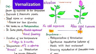 Vernalization  vernalization in plants  class 12 [upl. by Yrtsed19]