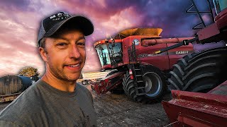 Were Finished Whats Next For The Farm  Harvest Part 8 [upl. by Hernando]