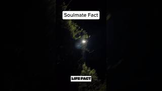 You recognize your soulmate psychologyfacts facts shorts lifefacts foryou viral [upl. by Jit]