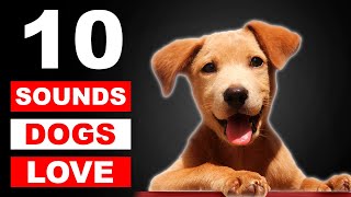 Top 10 Sounds Dogs Love To Hear The Most GUARANTEED [upl. by Marra615]