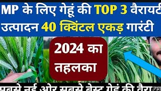 गैंहू की 3 उन्नत किस्में 40 क्विंटल उत्पादन  Gehu Ki Top Variety  Gehu Ki Best Variety [upl. by Niala]