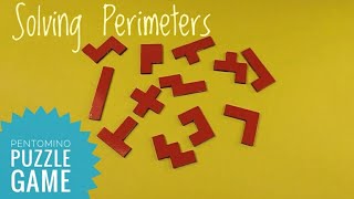 Pentomino puzzle Pentominoes solutions rectangles [upl. by Kcub795]