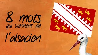 8 mots français empruntés à lalsacien  PTE HS2 [upl. by Annayhs]