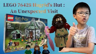 LEGO® Harry Potter™ 76428 Hagrid’s Hut An Unexpected Visit Unboxing amp Instructions [upl. by Tnahs423]