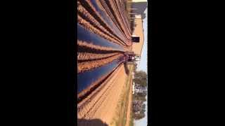 Compact Mulch Layer  New Video  by Berry Hill Irrigation [upl. by Hiett]