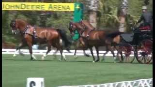 Chester Weber Dressage Live Oak International 2013 [upl. by Adialeda33]