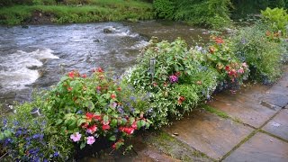 Glascoed Beddgelert Wales [upl. by Notak667]