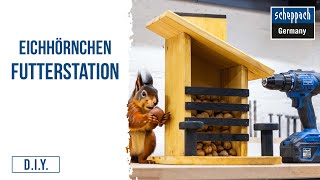 Eichhörnchen Futterhaus selber bauen I DIYAnleitung [upl. by Armelda34]