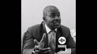 Audio Temba Mliswa Vs Phillip Chiyangwa As Temba Mliswa Sends Phidza Voice Note On WhatsApp🔞🔞🔞 [upl. by Elnar]