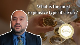 What is the most expensive type of caviar Learn about the business of caviar with Hossein Akef [upl. by Fidelis]