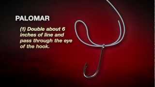 How To Tie The Palomar Knot In 4 easy steps [upl. by Kahle518]