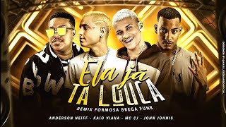 VAI MOSTRAR O PEITIN PRA MIM ELA JÁ TÁ LOUCA  ANDERSON NEIFF KAIO VIANA E MC CJ REMIX BREGA FUNK [upl. by Hulen]