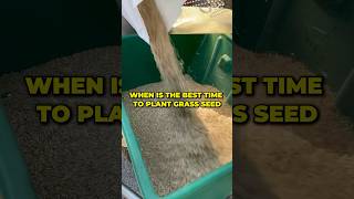 When is the best time to plant grass seed shorts [upl. by Conti]