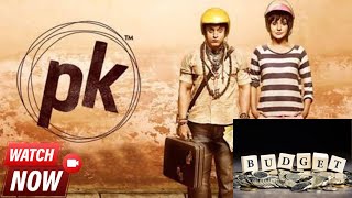 PK Movie Breakdown Earnings Star Cast and Profit Analysis [upl. by Ennobe]