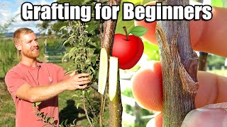 Apple Tree Grafting For Beginners  Learn How To Graft  Includes 6 Months of Updates [upl. by Assener]