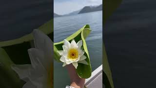 Walking together Montenegro Skadar Lake lotos lake montenegro respect beutifull черногория [upl. by Saixela913]