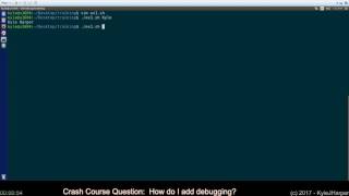 Add Debugging to Shell Script [upl. by Gennie324]