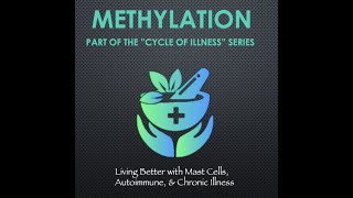 Methylation  Part of the Cycle of Illness Series The COMPLETE review on Methylation Master Guide [upl. by Einnahpets]