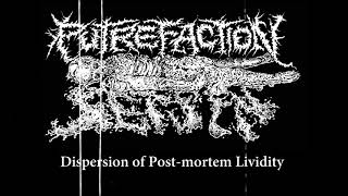 Putrefaction Sets In  Dispersion of Post​​mortem Lividity 2021  Goregrind [upl. by Odnalro]