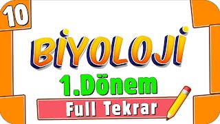 10Sınıf Biyoloji 1Dönem Full Tekrar 🔁 2022 [upl. by Allerbag]